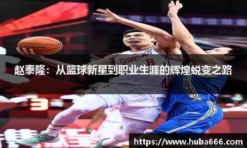 赵泰隆：从篮球新星到职业生涯的辉煌蜕变之路